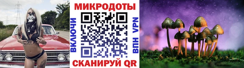 Псилоцибиновые грибы мицелий Кизел