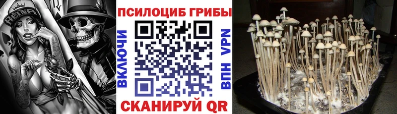 Галлюциногенные грибы мухоморы  Кизел 
